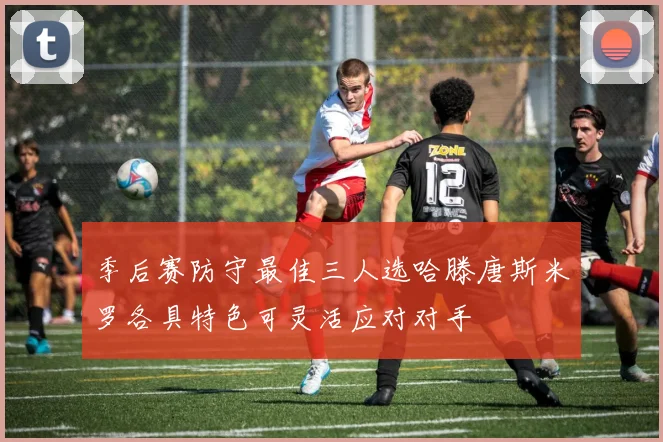季后赛防守最佳三人选哈滕唐斯米罗各具特色可灵活应对对手